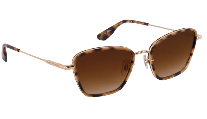 Krewe sunglasses with tortoiseshell frame and brown gradient lenses on a white background