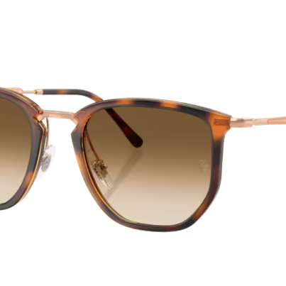 RayBan Sunglasses with tortoiseshell frame and brown gradient lenses on a white background