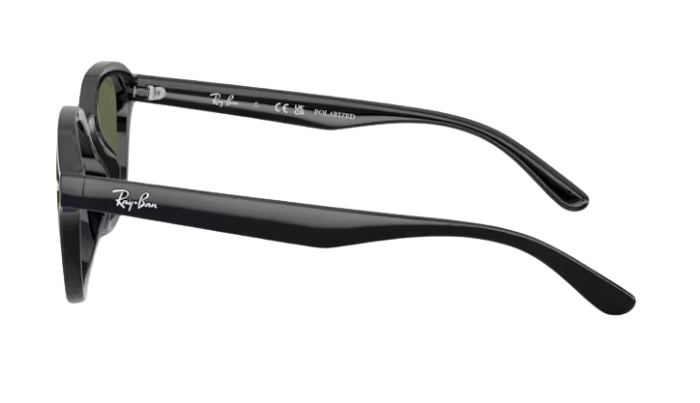 Black Ray-Ban polarized sunglasses with green lenses on a white background