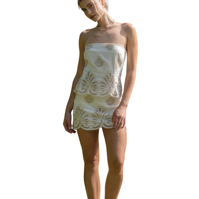 Eva Embroidered Strapless Mini Dress