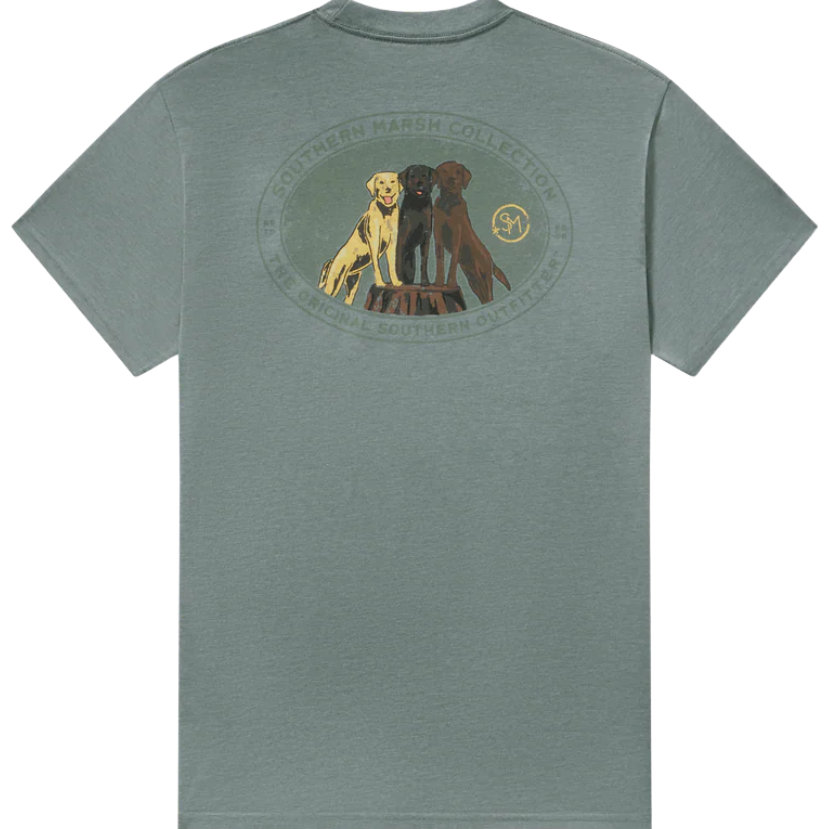 Green t-shirt with a graphic of three labrador dogs on the back, on a white background