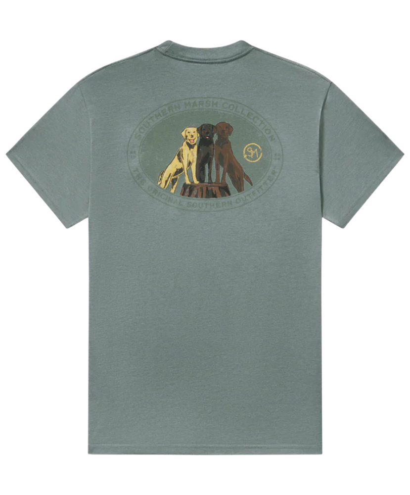 Green t-shirt with a graphic of three labrador dogs on the back, on a white background