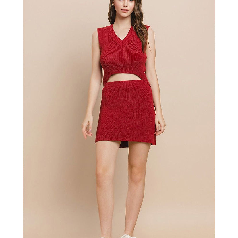 American Daydream Knit Skirt