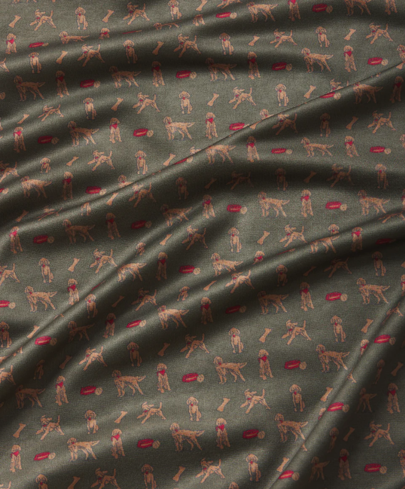 ol polo with a golden doodle pattern prntve green