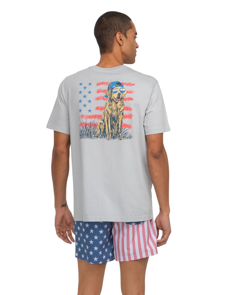 Person wearing a gray t-shirt with a graphic design and American flag shorts on a white background