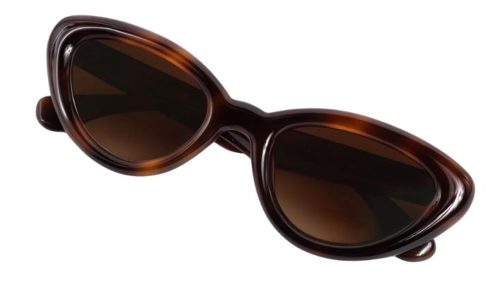 Krewe sunglasses with tortoiseshell frame and brown lenses on a white background