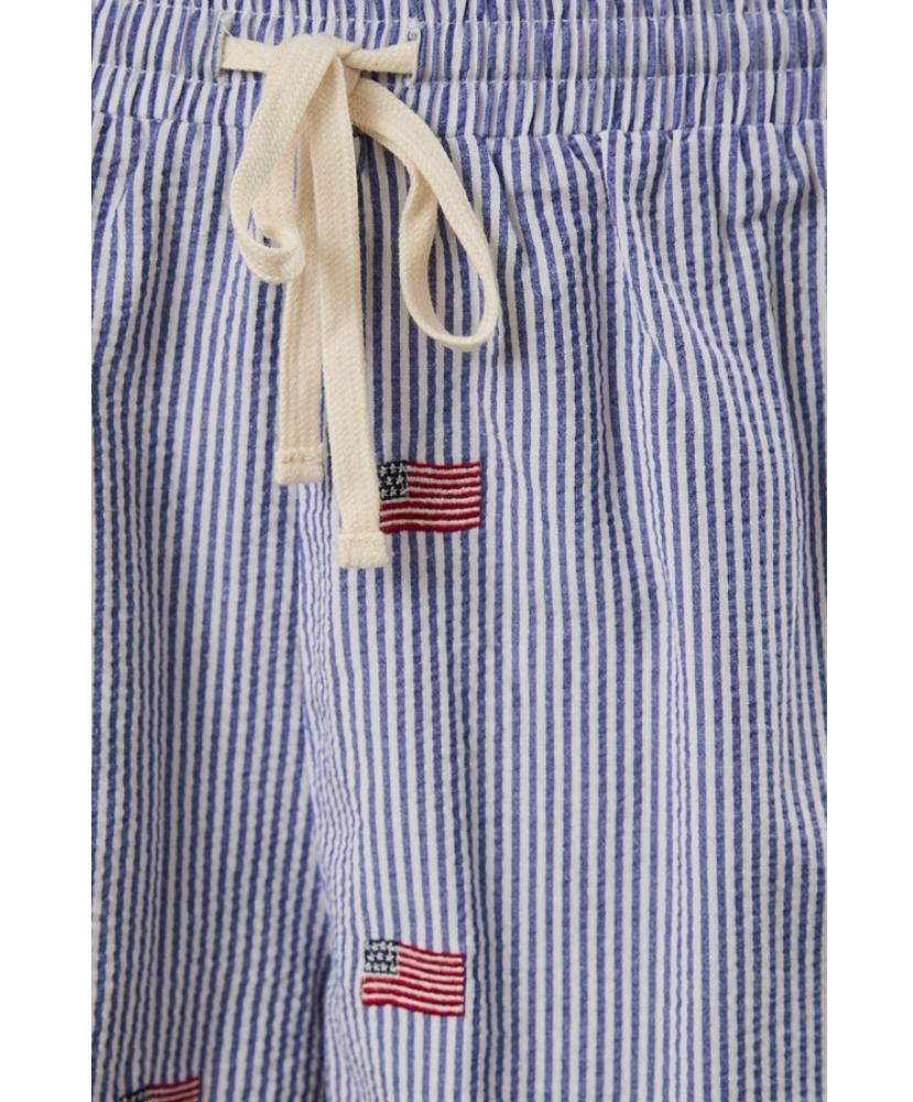 Blue and white striped shorts with American flag patches on a white background