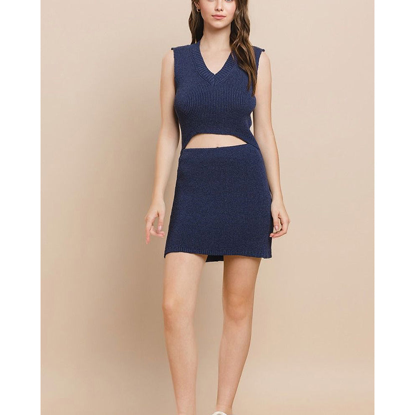 American Daydream Knit Skirt