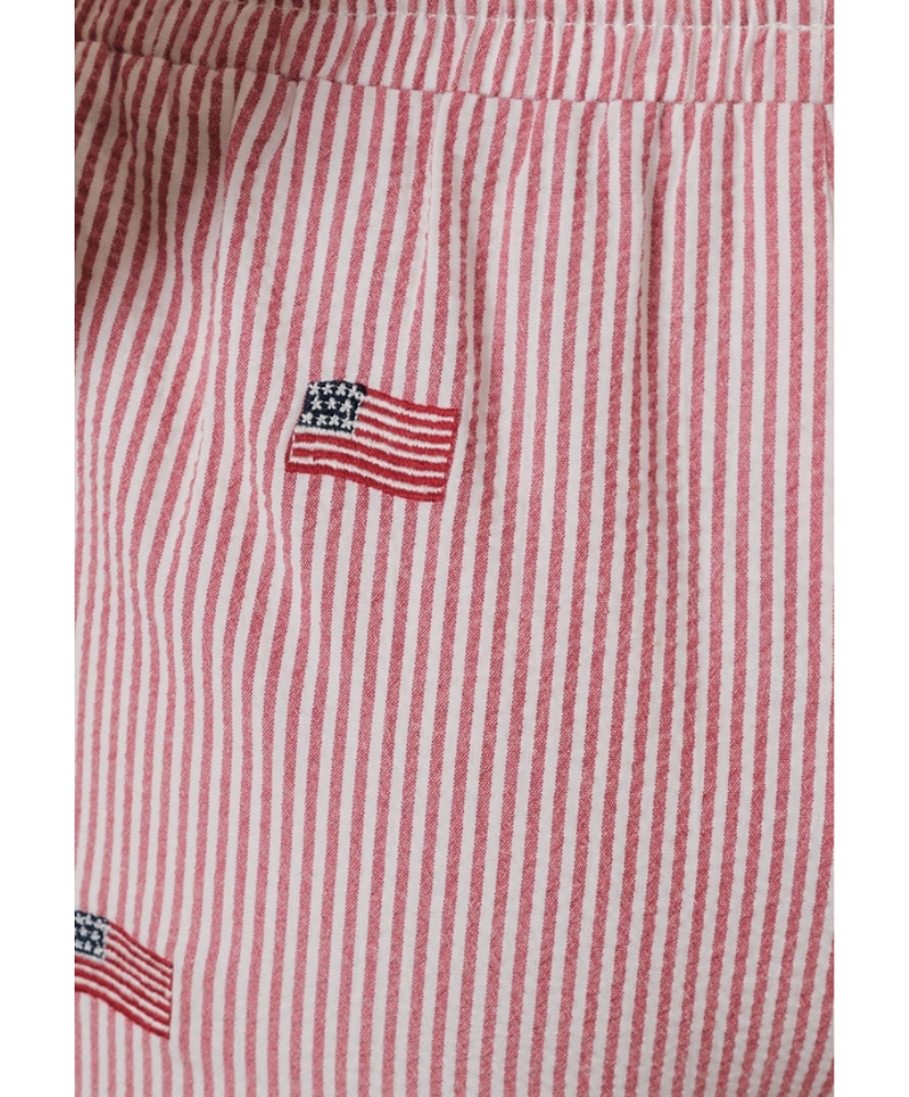 Person wearing red striped shorts with American flags on a white background