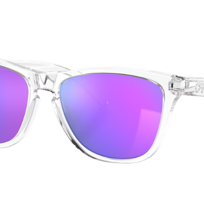 Oakley - Frogskins