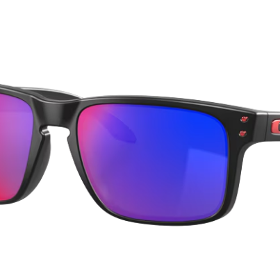 Oakley - Holbrook