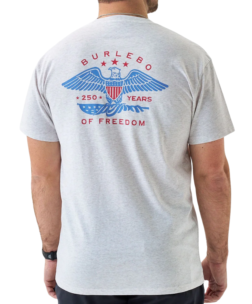 Person wearing a gray USA t-shirt with a patriotic design on the back