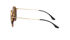 Round Ray-Ban sunglasses with tortoiseshell frame and brown lenses on a white background