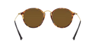 Round Ray-Ban sunglasses with tortoiseshell frame and brown lenses on a white background