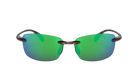 Sunglasses with green lenses and tortoiseshell frame on a white background