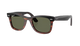 Sunglasses with tortoiseshell frame and green lenses on a white background