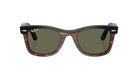 Sunglasses with tortoiseshell frame and green lenses on a white background