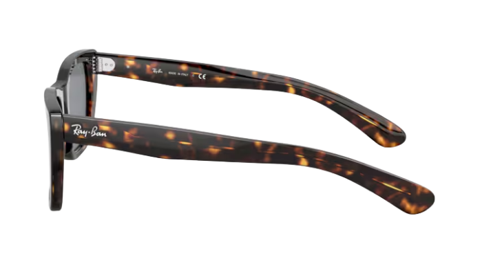 Ray-Ban Sunglasses with tortoiseshell frame and dark lenses on a white background