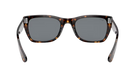 Ray-Ban Sunglasses with tortoiseshell frame and dark lenses on a white background