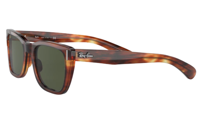 RayBan Sunglasses with tortoiseshell frame and dark lenses on a white background