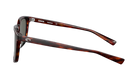 Costa Sunglasses with tortoiseshell frame and gray lenses on a white background