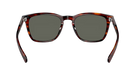 Costa Sunglasses with tortoiseshell frame and gray lenses on a white background