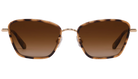 Krewe sunglasses with tortoiseshell frame and brown gradient lenses on a white background