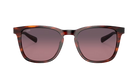 Costa Sunglasses with tortoiseshell frame and rose lenses on a white background