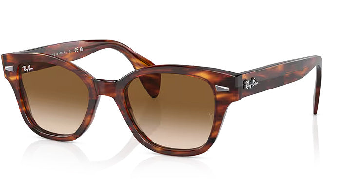 Ray-Ban - RB0880S