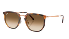 RayBan Sunglasses with tortoiseshell frame and brown gradient lenses on a white background