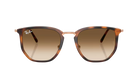 RayBan Sunglasses with tortoiseshell frame and brown gradient lenses on a white background