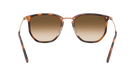 RayBan Sunglasses with tortoiseshell frame and brown gradient lenses on a white background