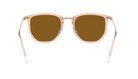 RayBan Sunglasses with rose gold frame and brown lenses on a white background