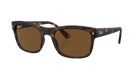 Ray-Ban Tortoiseshell sunglasses with brown lenses on a white background
