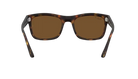 Ray-Ban Tortoiseshell sunglasses with brown lenses on a white background