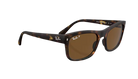 Ray-Ban Tortoiseshell sunglasses with brown lenses on a white background