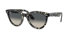 Ray-Ban Sunglasses with tortoiseshell frame and gradient lenses on a white background