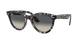 Ray-Ban Sunglasses with tortoiseshell frame and gradient lenses on a white background