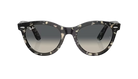 Ray-Ban Sunglasses with tortoiseshell frame and gradient lenses on a white background