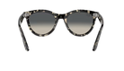 Ray-Ban Sunglasses with tortoiseshell frame and gradient lenses on a white background