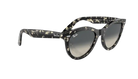 Ray-Ban Sunglasses with tortoiseshell frame and gradient lenses on a white background