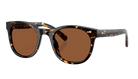 Tortoise Costa sunglasses with polarized copper lenses on a white background