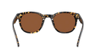 Costa Sunglasses with tortoiseshell frame and brown polarized lenses on a white background