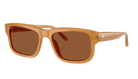Brown sunglasses with a white background