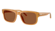 Brown sunglasses with a white background