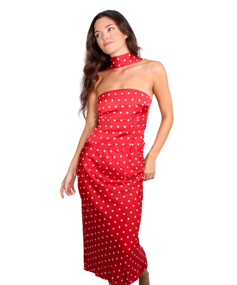 Parker Polka Dot Maxi Skirt