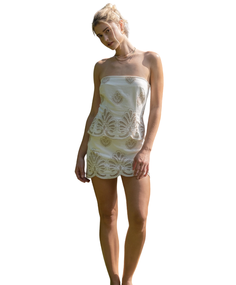 Eva Embroidered Strapless Mini Dress