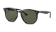 Black Ray-Ban sunglasses with green lenses on a white background