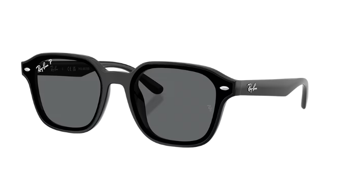 Ray-Ban - RB4458D