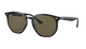 Ray-Ban Black sunglasses with a white background
